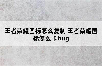 王者荣耀国标怎么复制 王者荣耀国标怎么卡bug